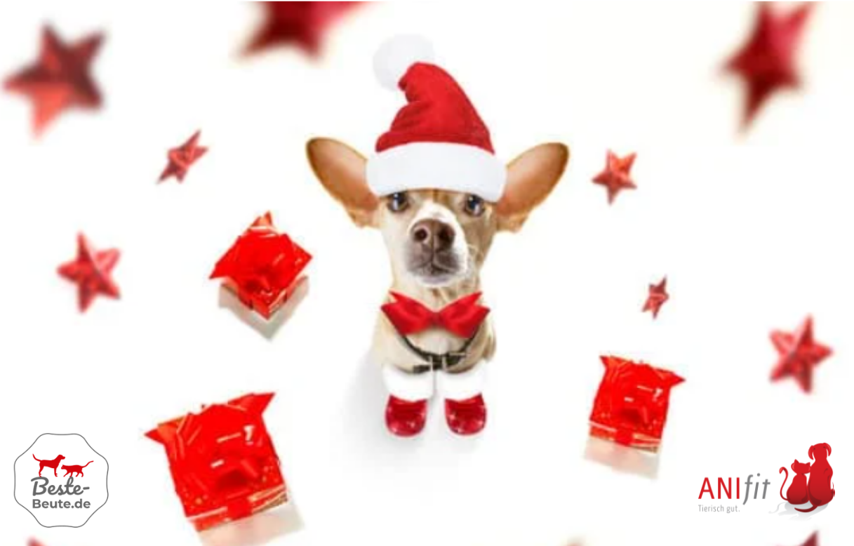 Adventskalender