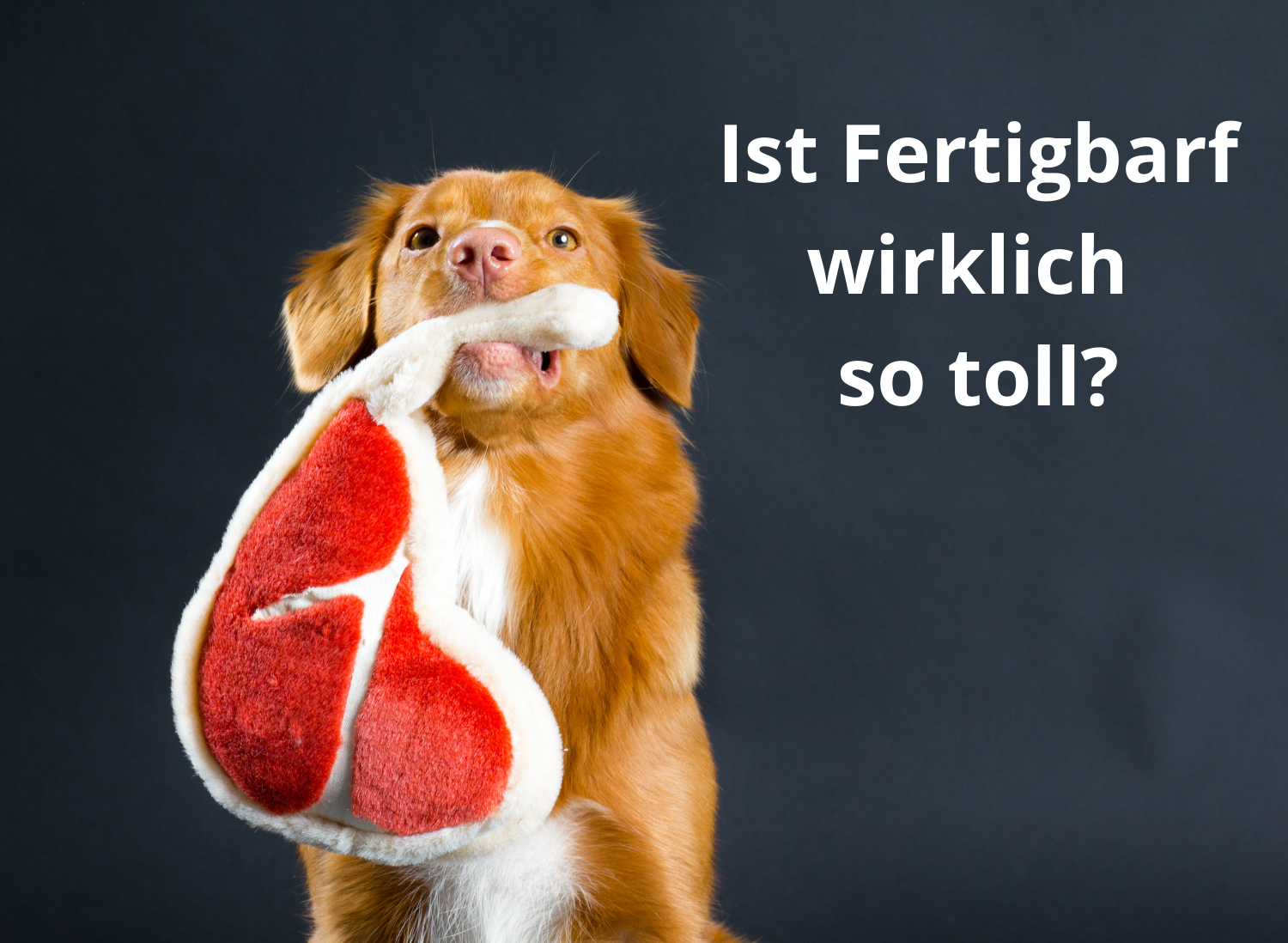 Umstellung Fertigbarf