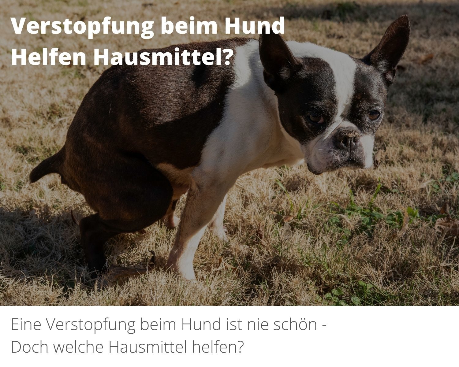 Verstopfung